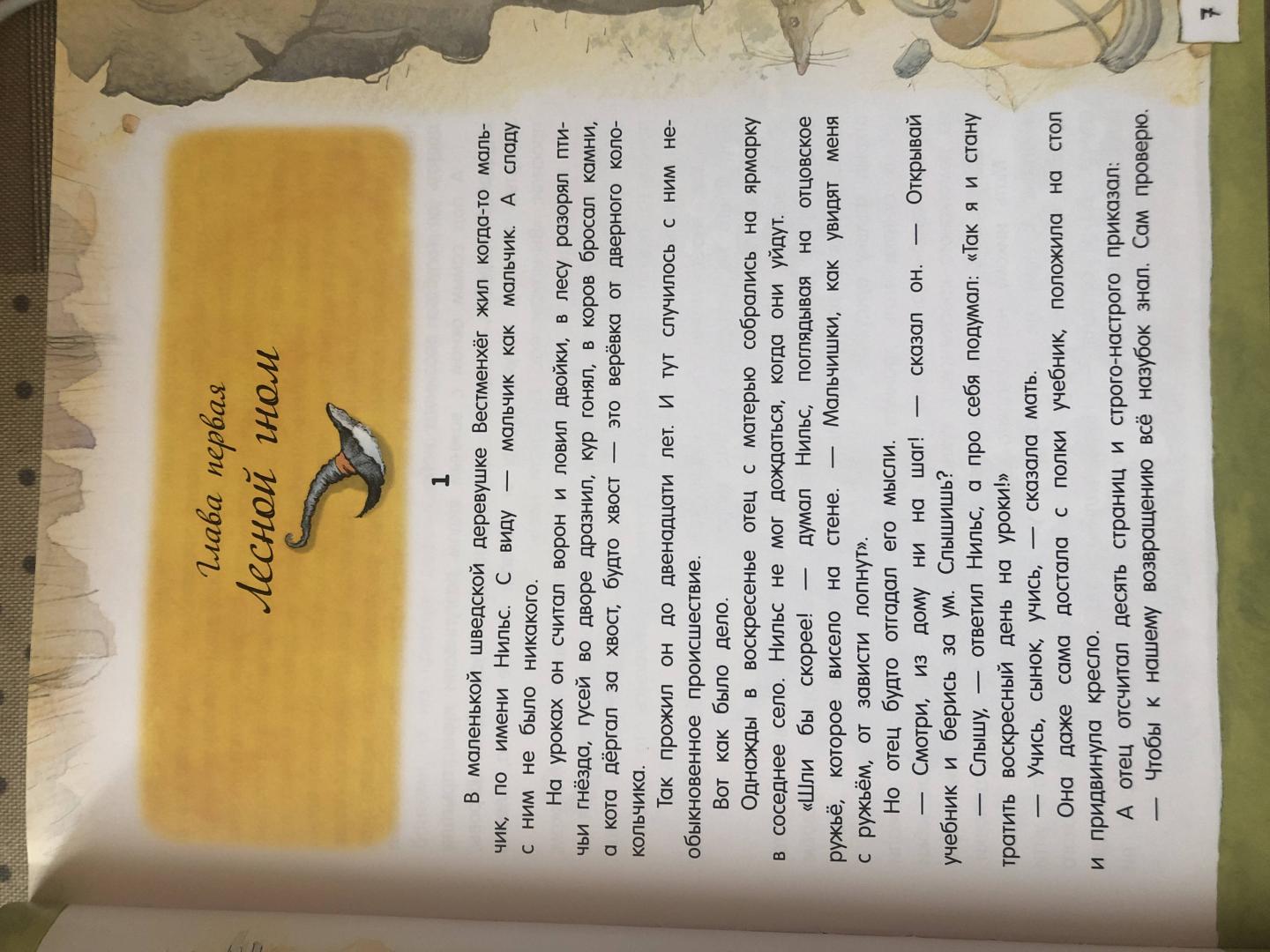 Иллюстрация 40 из 41 для Чудесное путешествие Нильса с дикими гусями - Сельма Лагерлеф | Лабиринт - книги. Источник: marusya_b84