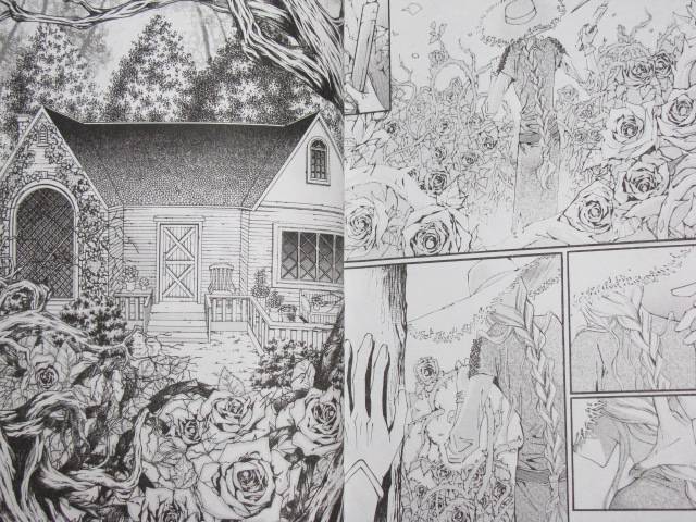 Иллюстрация 8 из 24 для Невеста дьявола. Книга 1. Отречение - Ким Се-Еун | Лабиринт - книги. Источник: Nemertona