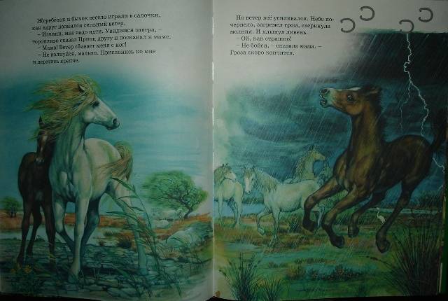 Иллюстрация 21 из 28 для По следам любимых зверят - Мари Дюваль | Лабиринт - книги. Источник: Настёна