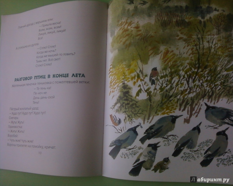 Иллюстрация 12 из 15 для Птичьи разговоры - Виталий Бианки | Лабиринт - книги. Источник: Родионова  Надежда
