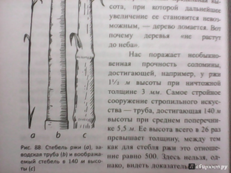 Иллюстрация 22 из 31 для Занимательная механика - Яков Перельман | Лабиринт - книги. Источник: Nota Bene