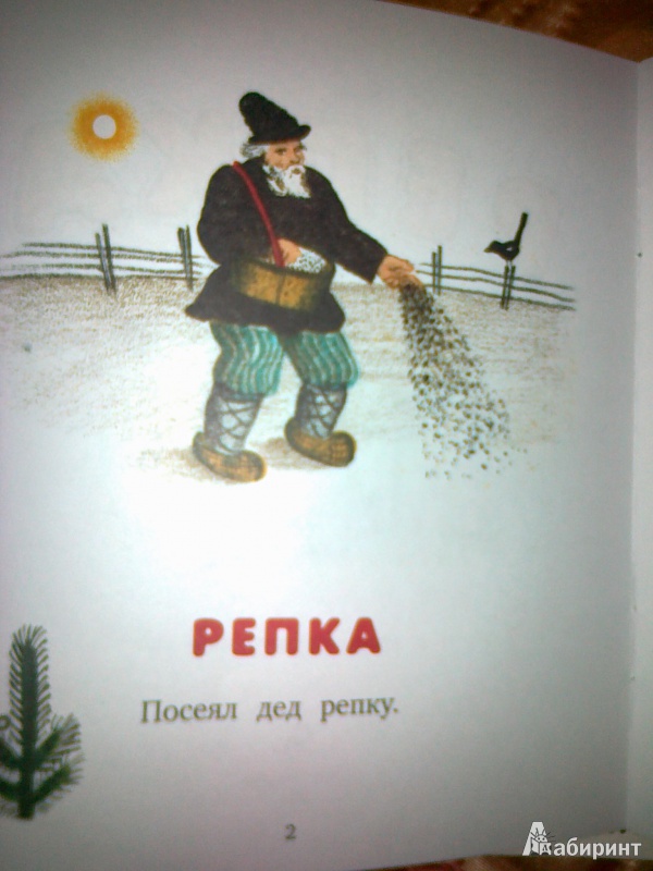 Иллюстрация 2 из 26 для Репка. Русские народные сказки | Лабиринт - книги. Источник: Cerasus