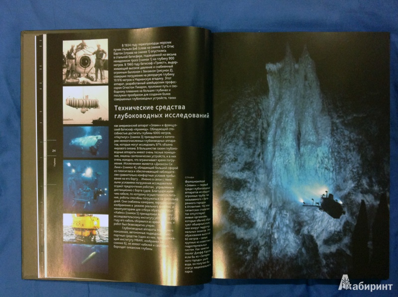 Иллюстрация 29 из 31 для Глубина. Таинственный мир океанских пучин - Клер Нувиан | Лабиринт - книги. Источник: photo_grafo