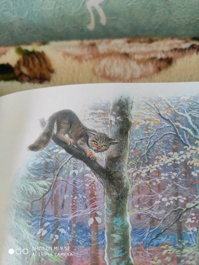 Иллюстрация 45 из 45 для Маруся - подружка всех зверят. В лесу. В деревне - Делаэ, Марлье | Лабиринт - книги. Источник: Коростелёва  Мария Борисовна