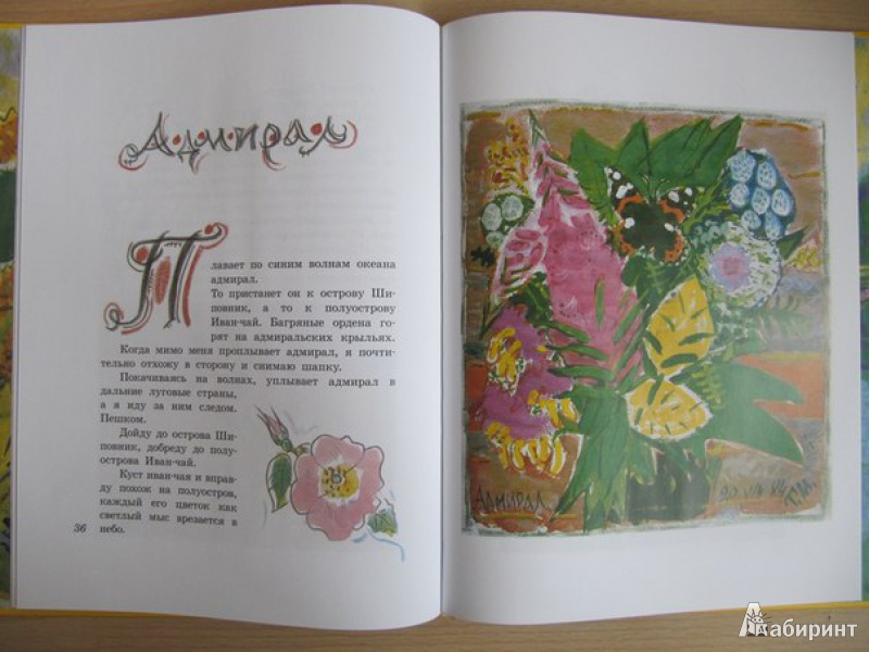 Иллюстрация 25 из 27 для Бабочки - Коваль, Маврина | Лабиринт - книги. Источник: Данилова  Мария Александровна