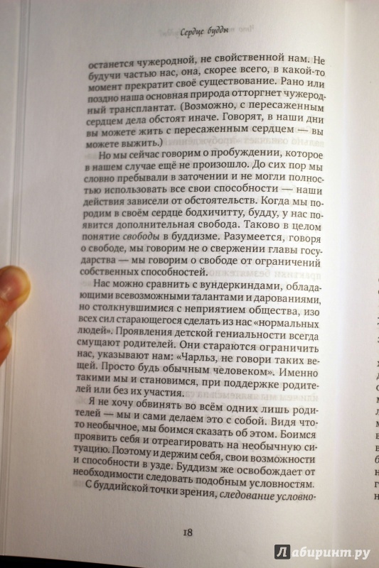 Иллюстрация 5 из 14 для Сердце будды - Чогьям Ринпоче | Лабиринт - книги. Источник: Lapchi