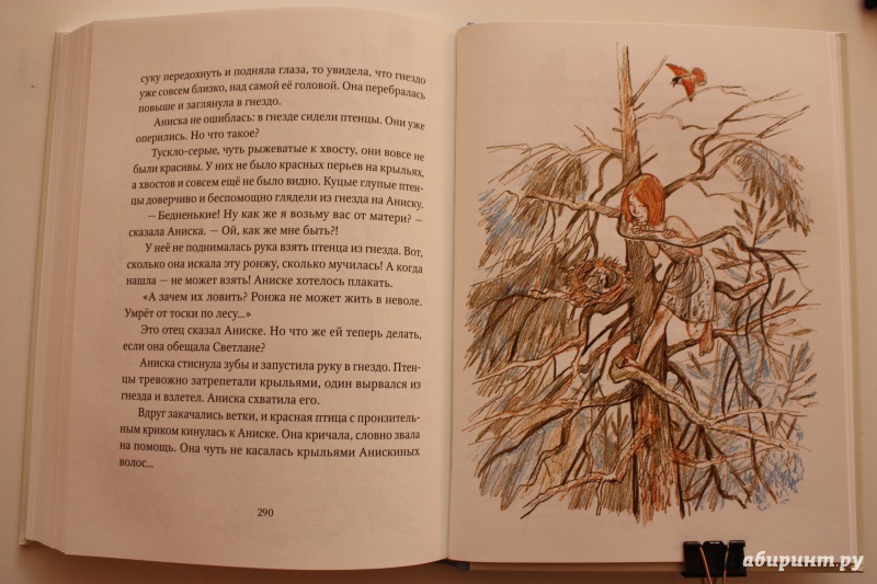 Иллюстрация 39 из 59 для Девочка из города. Гуси-лебеди - Любовь Воронкова | Лабиринт - книги. Источник: Bradbury