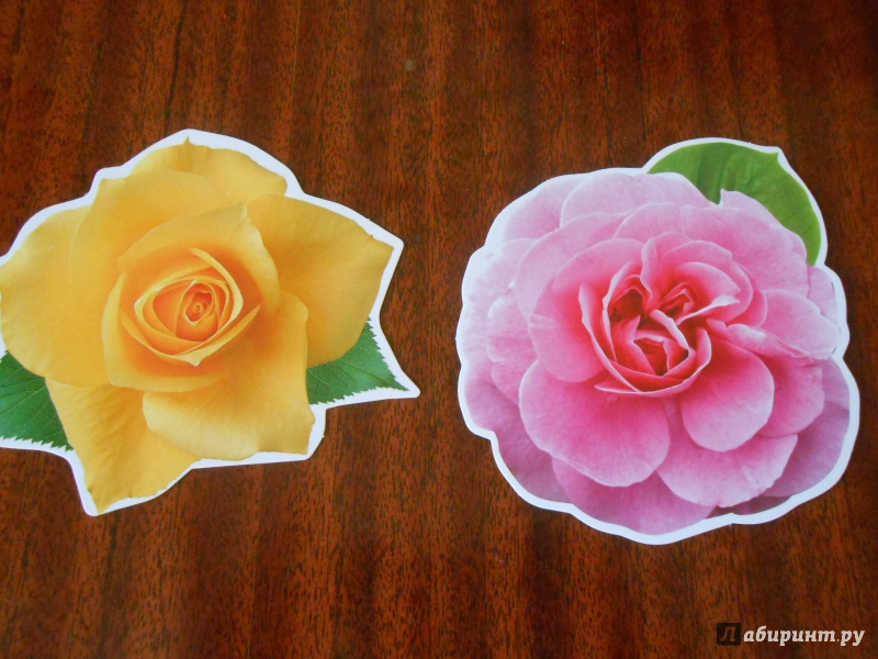 Иллюстрация 5 из 16 для Набор цветов на скотче для украшения стен (КМ-7996) | Лабиринт - сувениры. Источник: Леан