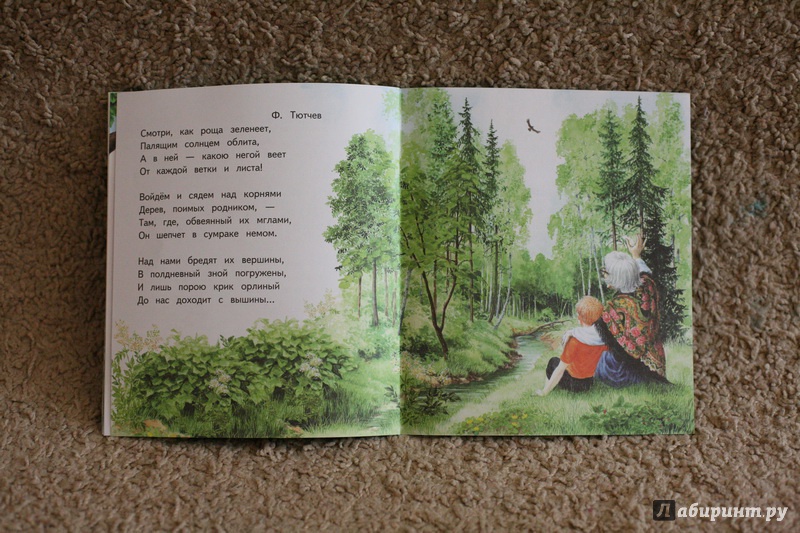 Иллюстрация 20 из 28 для Бабушкино лето | Лабиринт - книги. Источник: дважды
