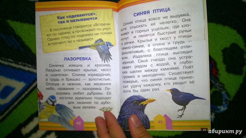 Иллюстрация 15 из 24 для Удивительные птицы - Александр Тихонов | Лабиринт - книги. Источник: Солнышко Светка