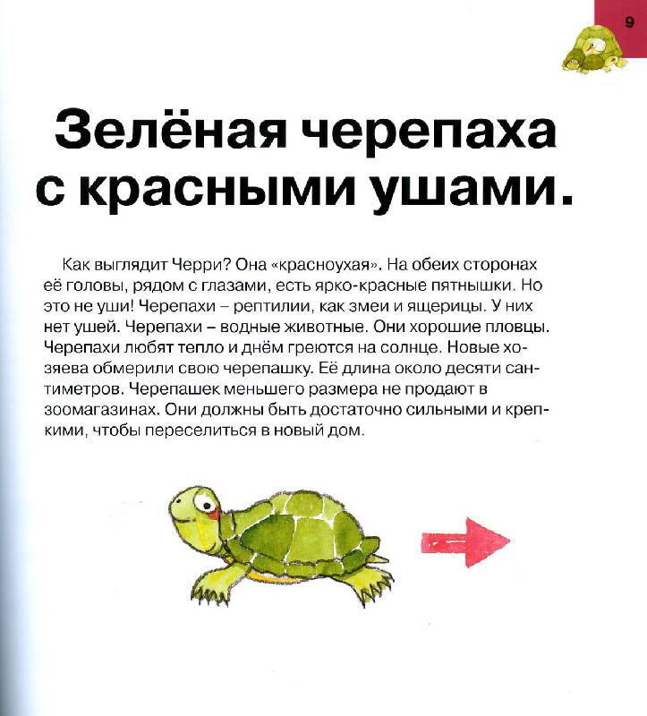 Иллюстрация 2 из 7 для Твоя черепаха. Уход за домашним любимцем - Алехандро Альгарра | Лабиринт - книги. Источник: Росинка