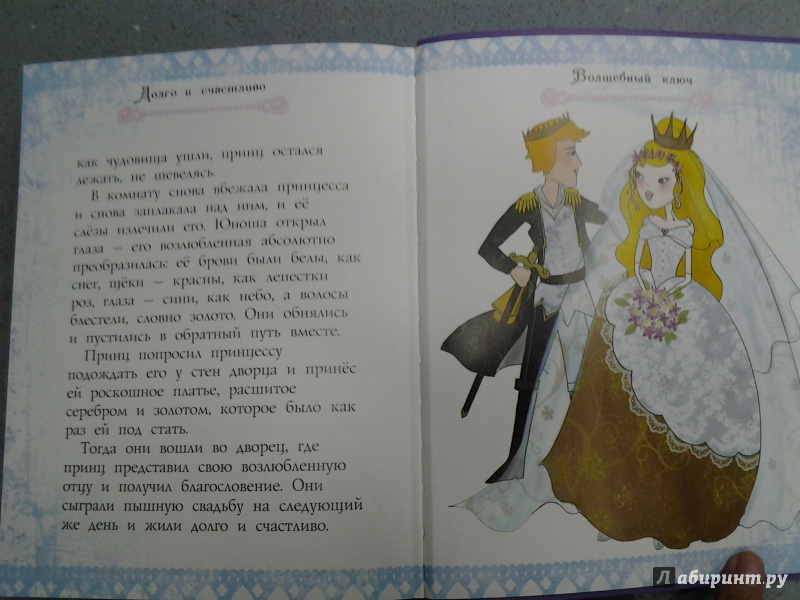 Иллюстрация 29 из 29 для 50 сказок о принцессах - Теккерей, Макдональд, Чосер | Лабиринт - книги. Источник: Olga