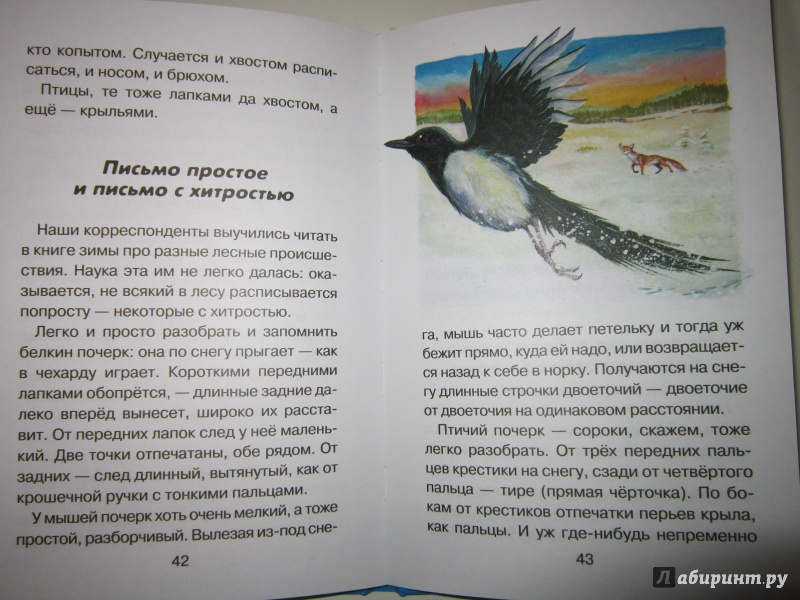 Иллюстрация 21 из 35 для Лесные детёныши - Виталий Бианки | Лабиринт - книги. Источник: Ермакова Юлия