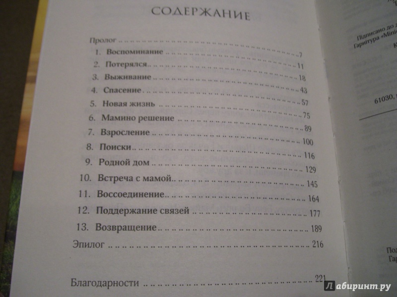 Иллюстрация 20 из 22 для Долгая дорога домой - Сару Бриерли | Лабиринт - книги. Источник: Антон