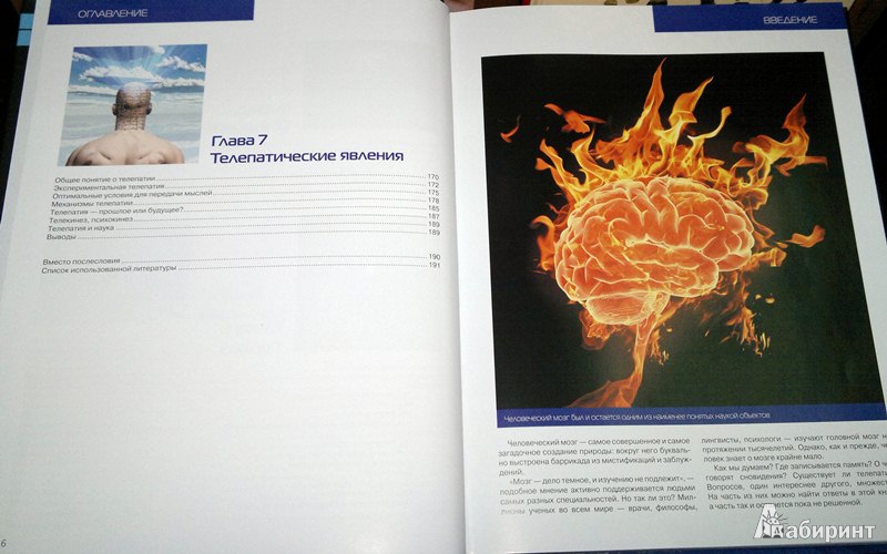 Иллюстрация 6 из 10 для Наш мозг от А до Я - Андрей Дианов | Лабиринт - книги. Источник: Леонид Сергеев