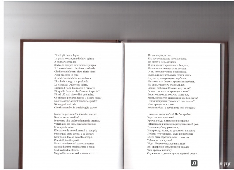 Иллюстрация 26 из 40 для Стихотворения - Джакомо Леопарди | Лабиринт - книги. Источник: Скоков  Сергей