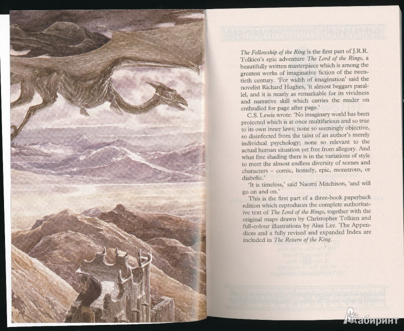 Иллюстрация 4 из 14 для Lord of the Rings: The Fellowship of the Ring. Part 1 - Tolkien John Ronald Reuel | Лабиринт - книги. Источник: Rishka Amiss