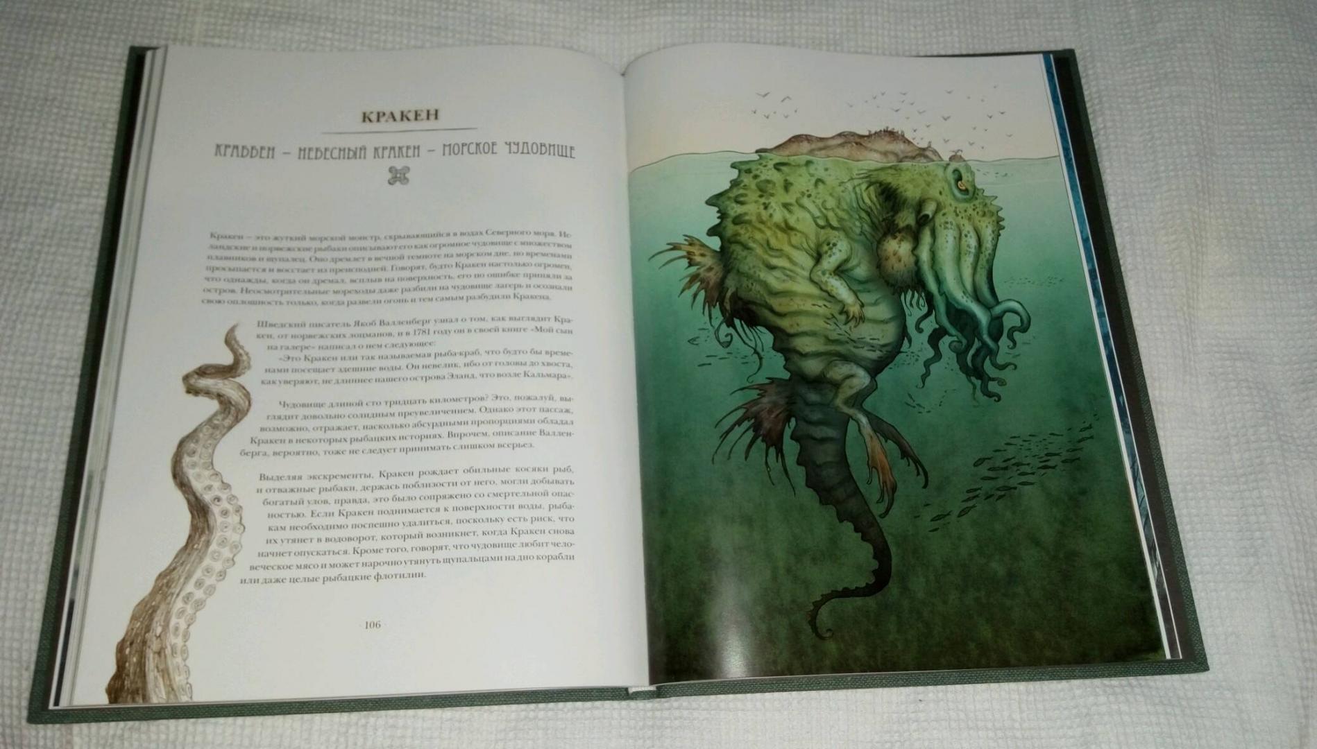 Иллюстрация 31 из 48 для Волшебные существа Севера - Юхан Эгеркранс | Лабиринт - книги. Источник: Сливинская Валерия