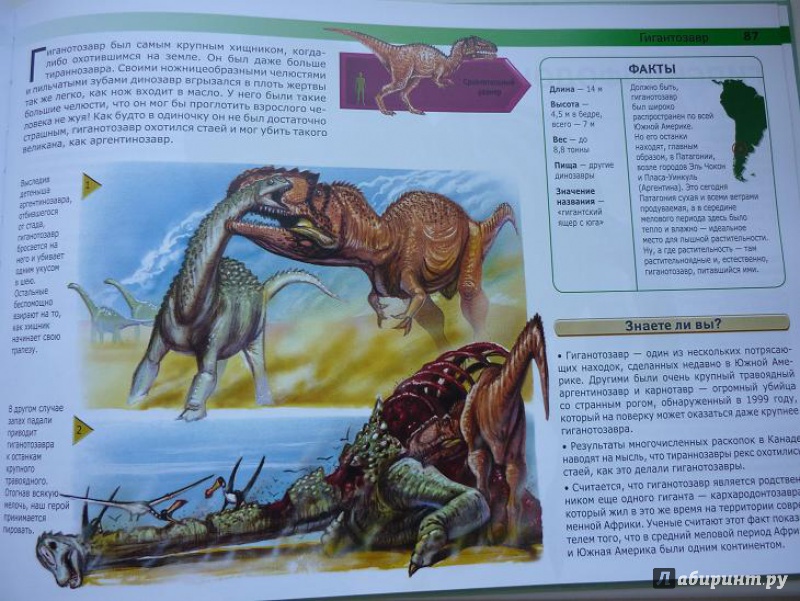 Иллюстрация 9 из 25 для Динозавры: монстры доисторической эпохи - Вероника Росс | Лабиринт - книги. Источник: Красавишна3