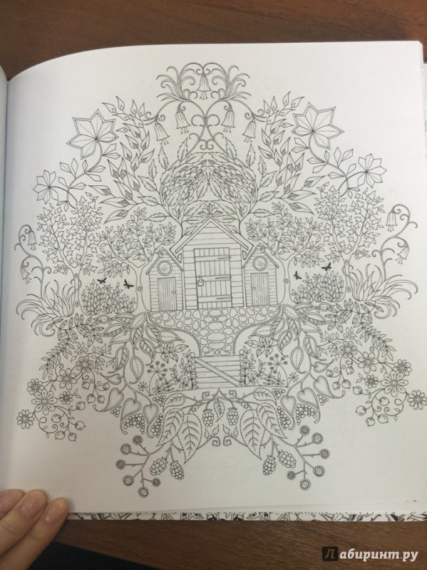 Иллюстрация 114 из 149 для Таинственный сад - Джоанна Бэсфорд | Лабиринт - книги. Источник: Лабиринт