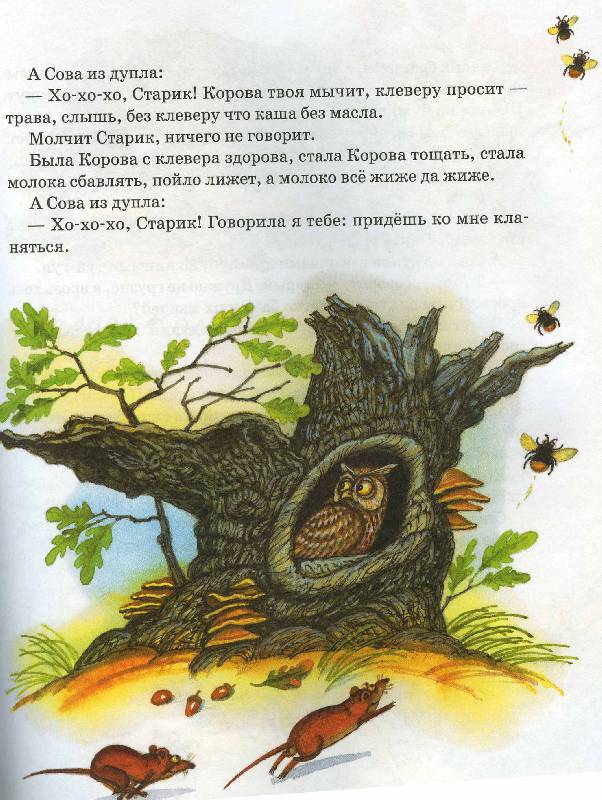 Иллюстрация 12 из 34 для Как муравьишка домой спешил - Виталий Бианки | Лабиринт - книги. Источник: Rin@