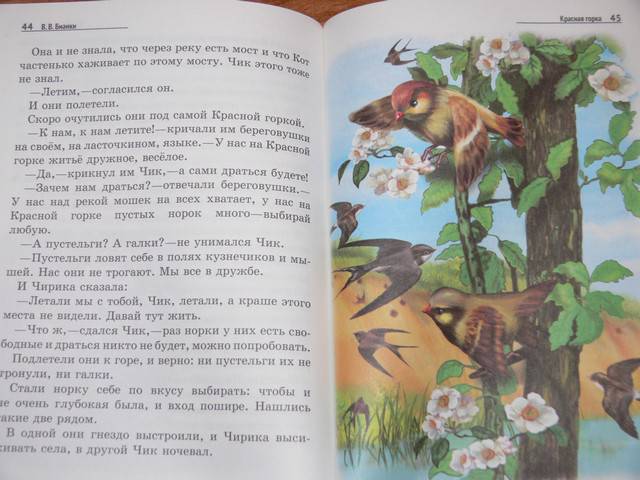 Иллюстрация 11 из 19 для Лесные домишки - Виталий Бианки | Лабиринт - книги. Источник: Irbis