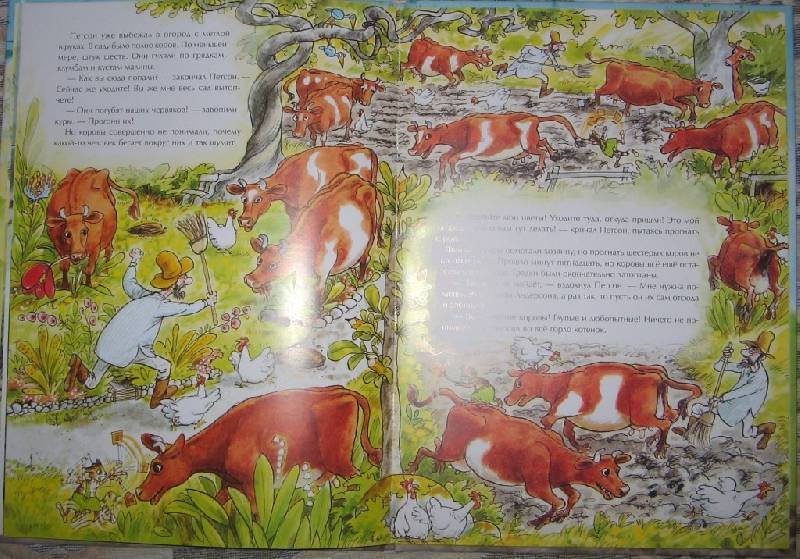 Иллюстрация 25 из 25 для Переполох в огороде - Свен Нурдквист | Лабиринт - книги. Источник: Читательница