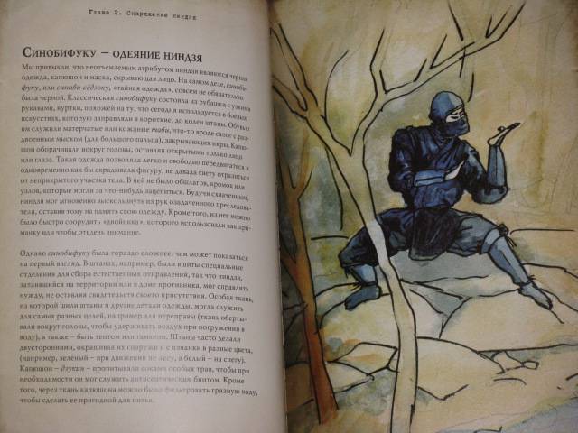 Иллюстрация 46 из 54 для Ниндзя. Воин тени - Джоэль Леви | Лабиринт - книги. Источник: Nemertona