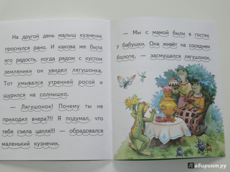 Иллюстрация 11 из 32 для Сказка про маленького кузнечика и скрипку - Елена Ермолова | Лабиринт - книги. Источник: Irbis