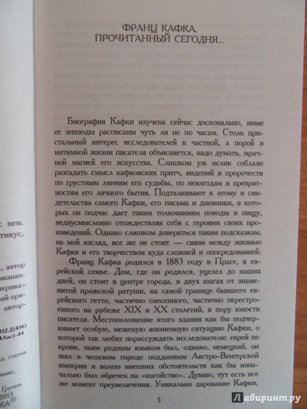 Иллюстрация 9 из 26 для Америка - Франц Кафка | Лабиринт - книги. Источник: Елена