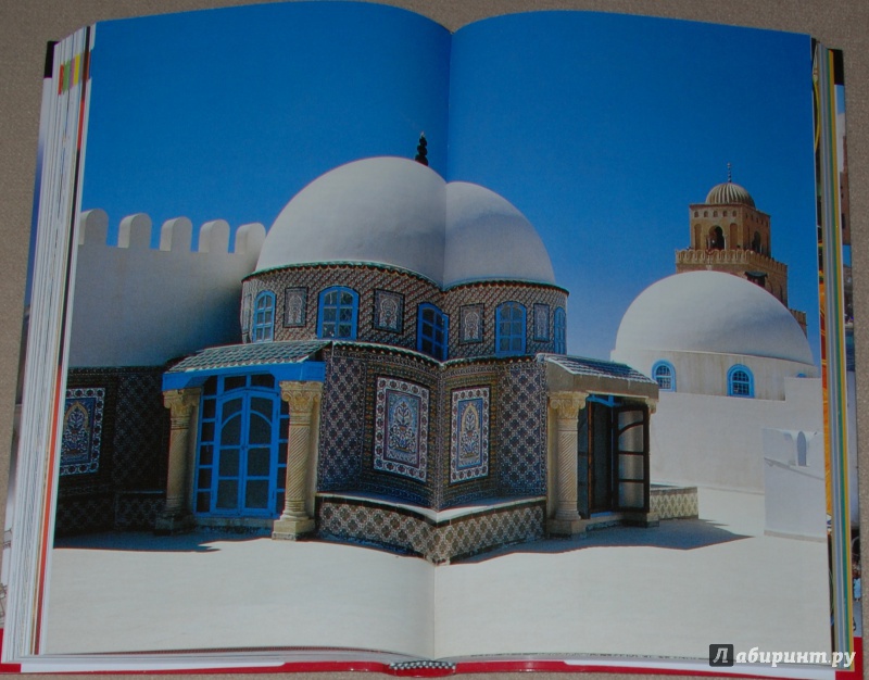 Иллюстрация 32 из 46 для Тунис - Лисовский, Лисовская | Лабиринт - книги. Источник: Книжный кот