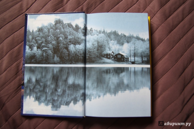 Иллюстрация 9 из 23 для Финляндия. Пора менять место жительства - Андрей Шилов | Лабиринт - книги. Источник: Vera Grey