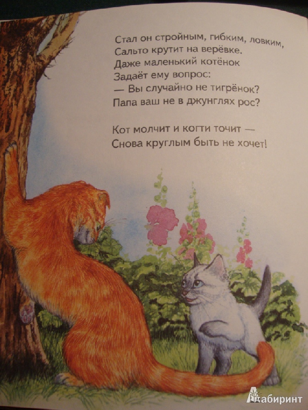 Иллюстрация 3 из 23 для Два кота - Владимир Степанов | Лабиринт - книги. Источник: koshkindom