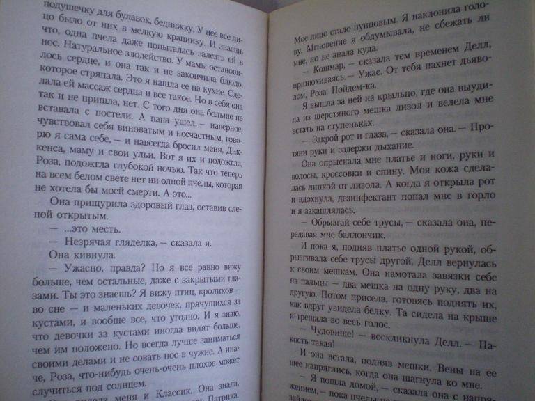 Иллюстрация 4 из 6 для Страна приливов: Роман - Митч Каллин | Лабиринт - книги. Источник: Ирина