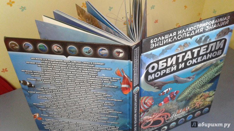 Иллюстрация 13 из 15 для Обитатели морей и океанов - Дмитрий Кошевар | Лабиринт - книги. Источник: Кузьминова  Екатерина