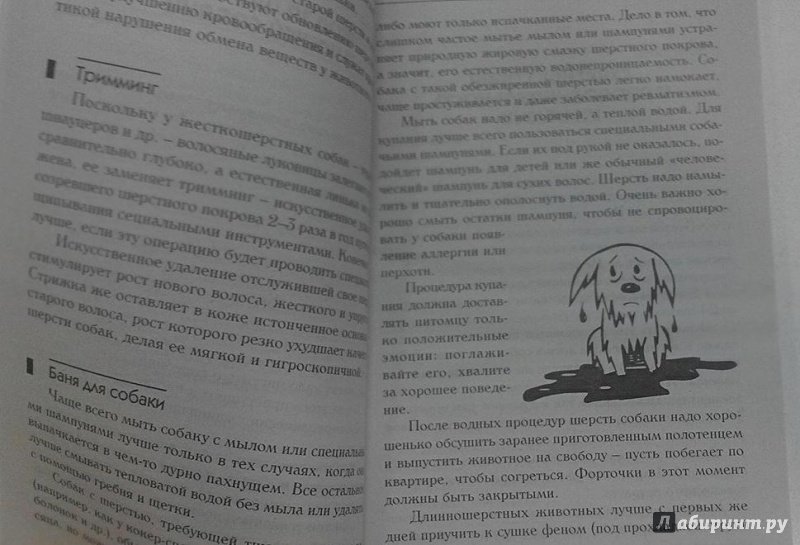 Иллюстрация 16 из 29 для Знакомьтесь, это ваша собака! | Лабиринт - книги. Источник: Свиридова  Виктория