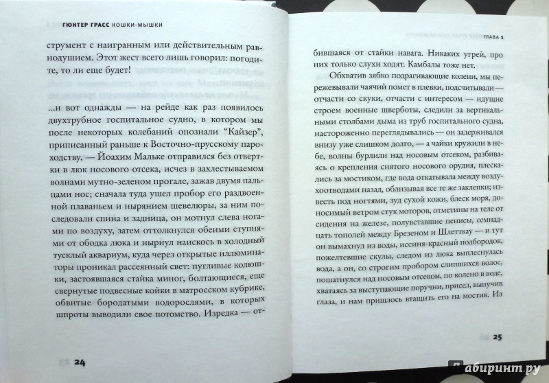 Иллюстрация 11 из 15 для Кошки-мышки - Гюнтер Грасс | Лабиринт - книги. Источник: fionna_cake