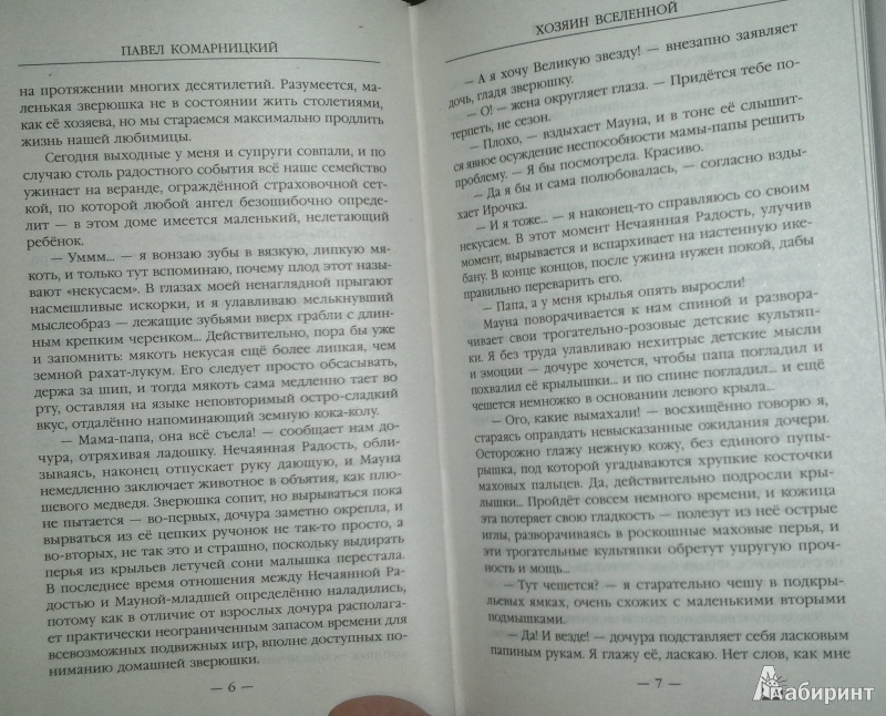 Иллюстрация 5 из 6 для Хозяин Вселенной - Павел Комарницкий | Лабиринт - книги. Источник: Леонид Сергеев