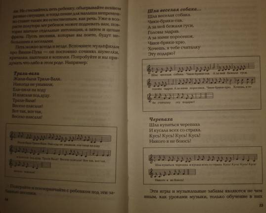 Иллюстрация 20 из 26 для Развиваем музыкальные способности - Елена Васько | Лабиринт - книги. Источник: Настёна
