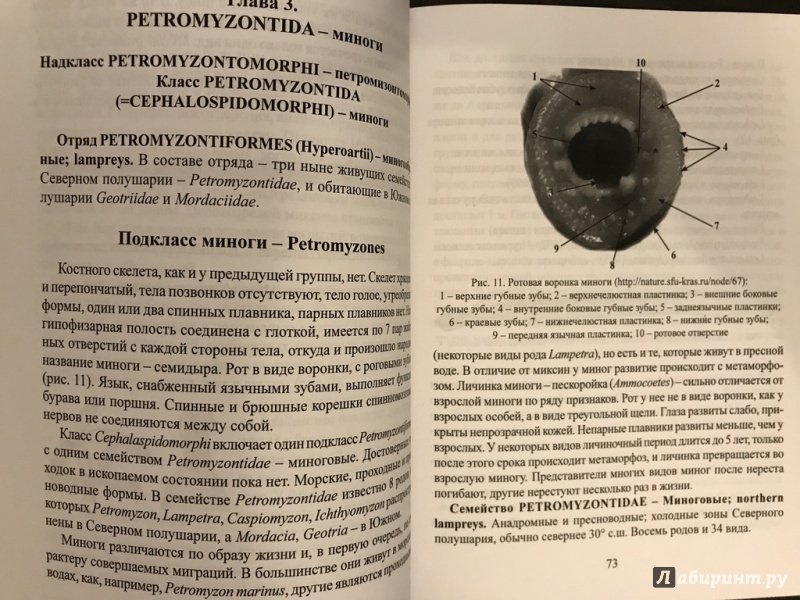 Иллюстрация 10 из 16 для Ихтиология. Учебник - Пономарев, Баканева, Федоровых | Лабиринт - книги. Источник: Ромыдтчъ