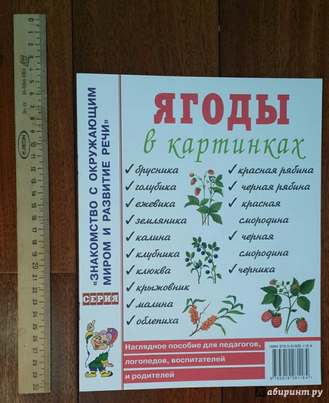 Лето в картинках наглядное пособие для педагогов логопедов воспитателей и родителей
