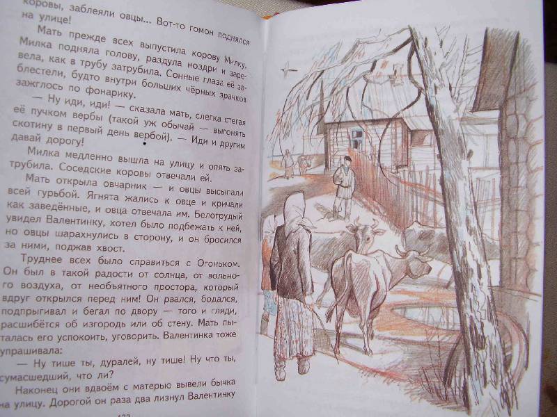 Иллюстрация 56 из 64 для Девочка из города - Любовь Воронкова | Лабиринт - книги. Источник: ИринаС