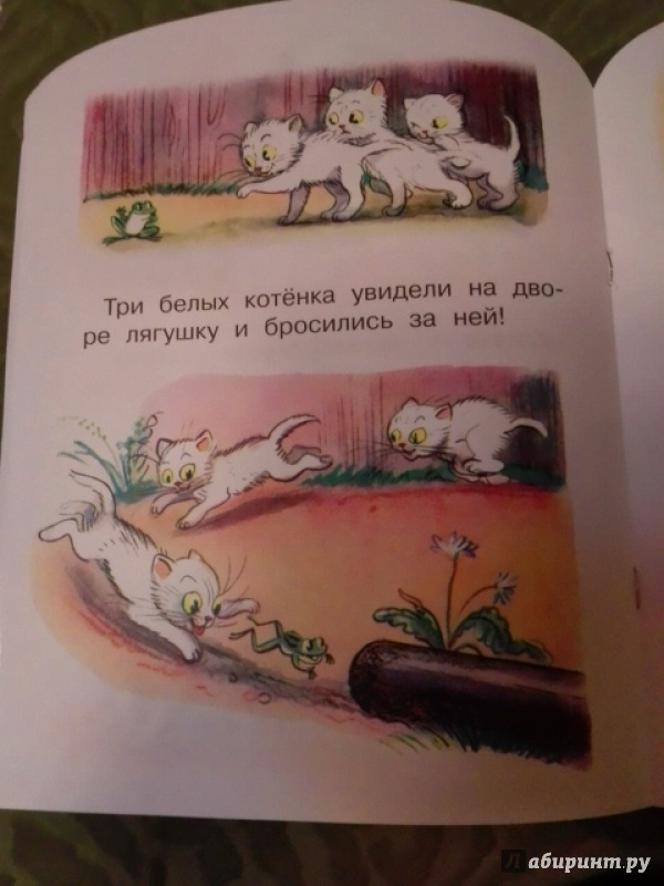 Иллюстрация 6 из 19 для Три котёнка - Владимир Сутеев | Лабиринт - книги. Источник: Zhukova  Polina