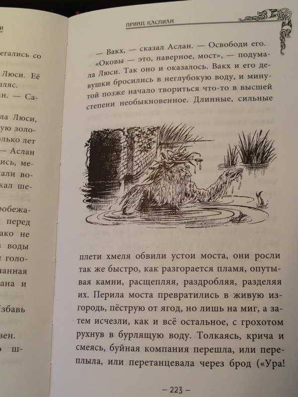 Иллюстрация 21 из 23 для Принц Каспиан - Клайв Льюис | Лабиринт - книги. Источник: anandaplus