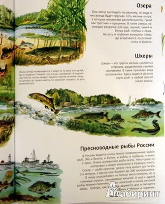 Иллюстрация 32 из 60 для Книга для начинающих великих рыболовов - Нурдквист, Вернер-Карлссон | Лабиринт - книги. Источник: Юта