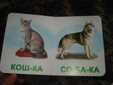 Иллюстрация 1 из 3 для Домашние животные. Мои первые книги (картонка) | Лабиринт - книги. Источник: Lutik_sun