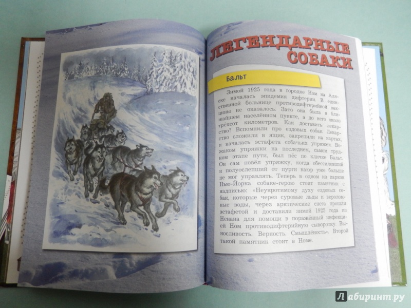 Иллюстрация 7 из 23 для Большая книга про собак - Пришвин, Георгиев, Сеф, Инбер | Лабиринт - книги. Источник: dbyyb