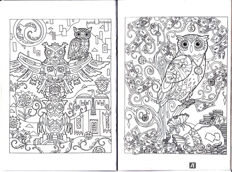 Иллюстрация 21 из 32 для Совушки. Блокнот-раскраска | Лабиринт - книги. Источник: Sternberg13