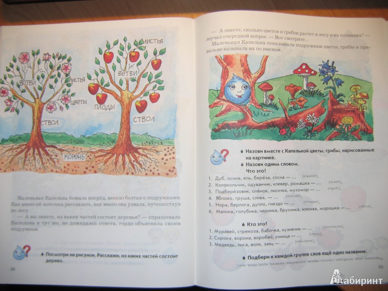 Иллюстрация 9 из 28 для Познавательные путешествия капельки, или Лесные забавы. Развивающая тетрадь по окружающему миру - Валюжинич, Зрюева | Лабиринт - книги. Источник: RoMamka