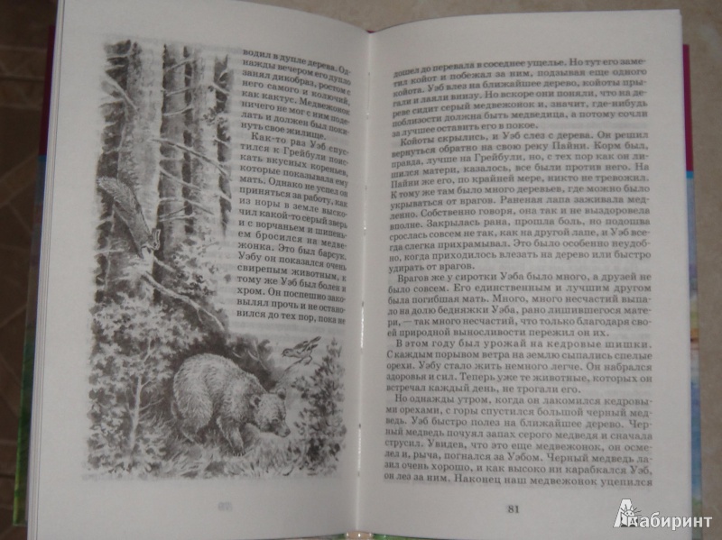Иллюстрация 12 из 15 для Рассказы о животных - Эрнест Сетон-Томпсон | Лабиринт - книги. Источник: Natalia12345